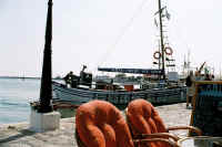 port-pythagorion-jannis-web.jpg (78633 byte)