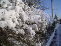 sne p hk 1.jpg (91414 byte)